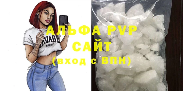 соль ск Ельня