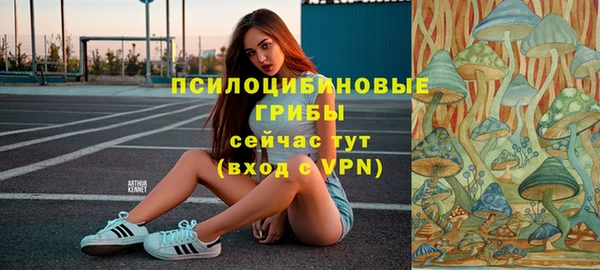 таблы Заводоуковск