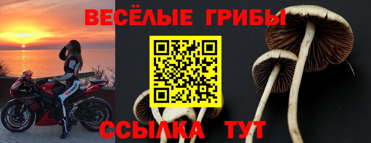 Галлюциногенные грибы Psilocybine cubensis  Вход с VPN  Сибай 