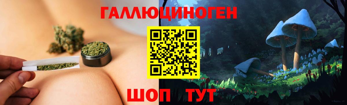 Галлюциногенные грибы прущие грибы Сибай